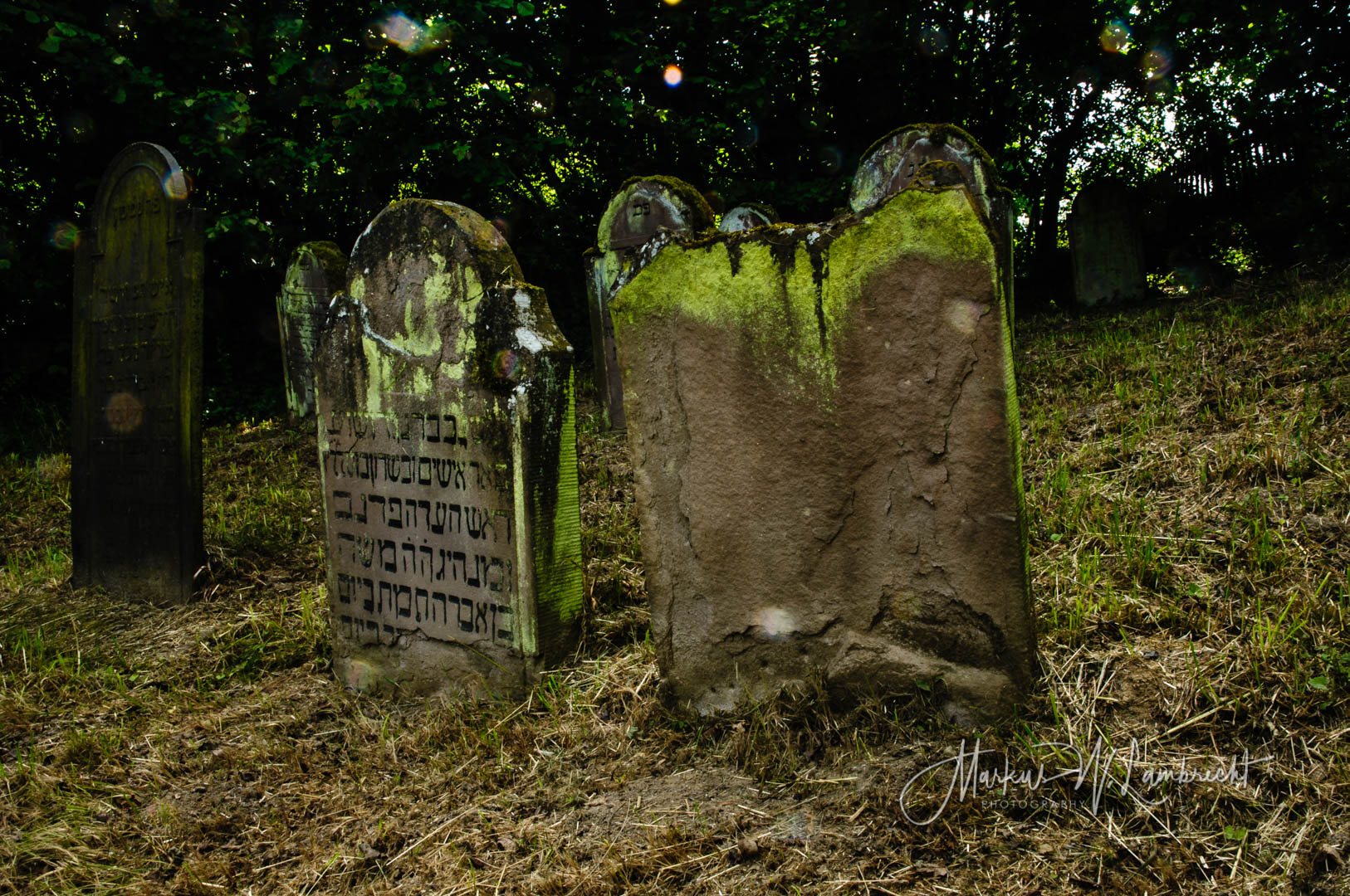 Jüdischer Friedhof Sielen